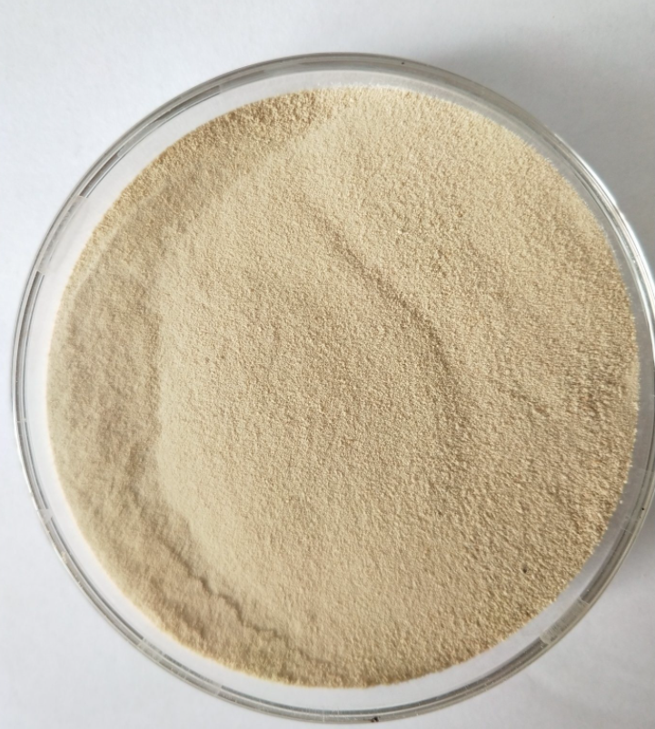 Amino Acid Powder